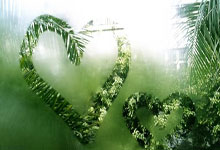 东契奇在曼联比赛中表现优异，险胜引发热议！热度持续攀升(热度持续攀升)